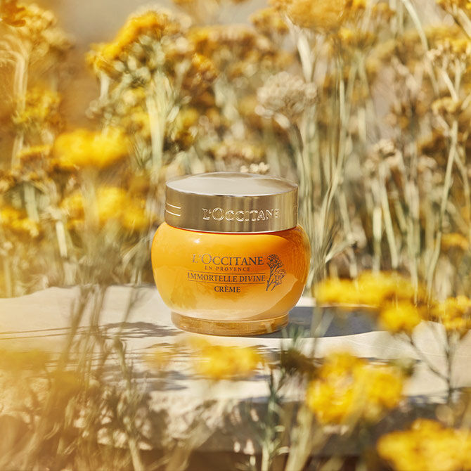 Jar of divine cream surrounded by immortelle flowers